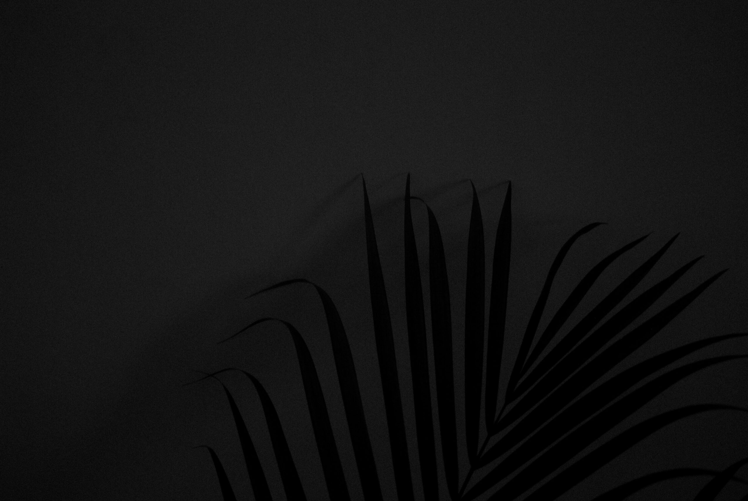 Black background - placeholder