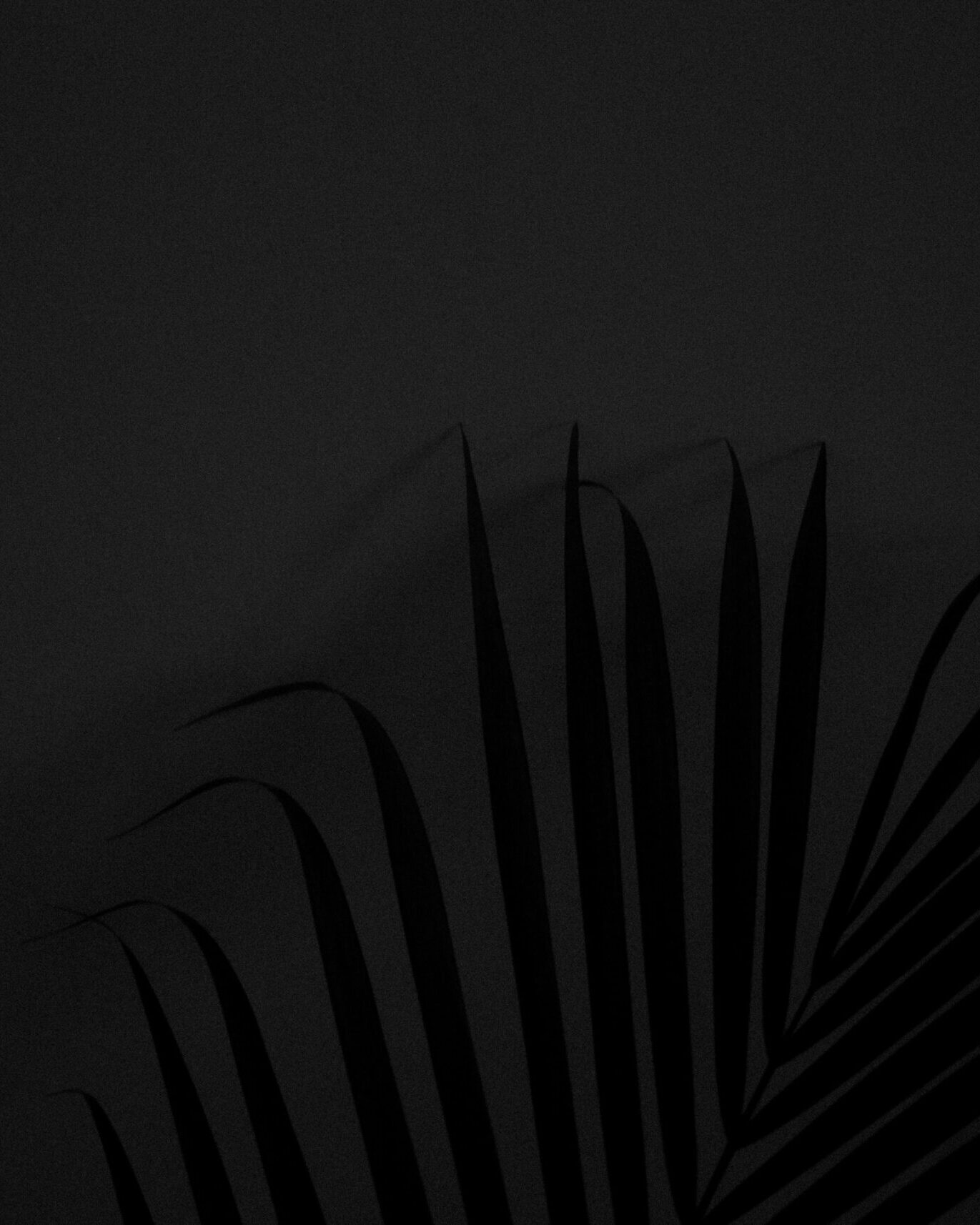 Black background - placeholder
